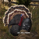 Illustration for article titled Beware Far Cry 5’s Rampaging Turkeys